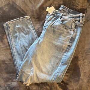 American Eagle Strigid Mom Jean
